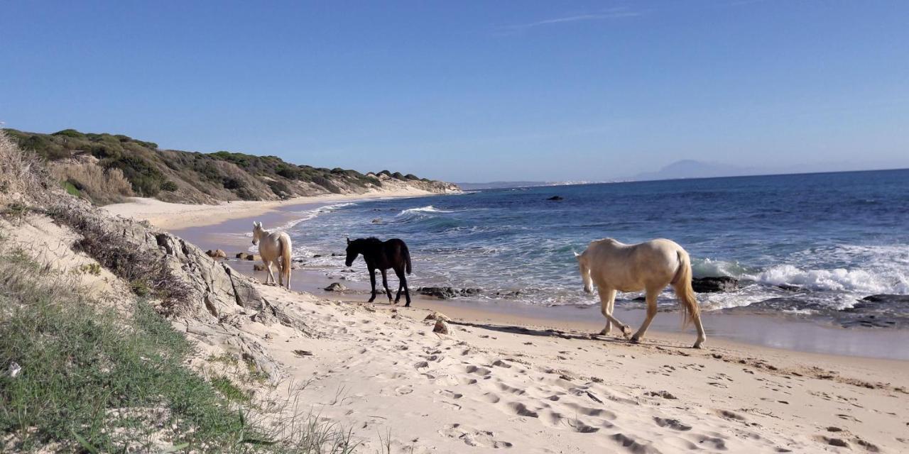 Tarifa-Blick Auf Afrika, Haus Am Meer, Haustiere Erlaubt المظهر الخارجي الصورة